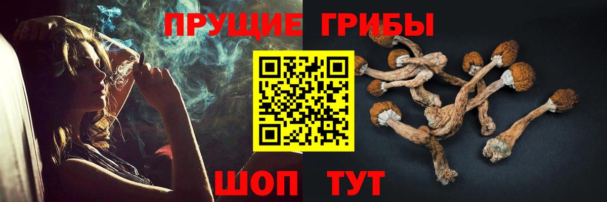 Галлюциногенные грибы прущие грибы  Вход с VPN  Норильск 
